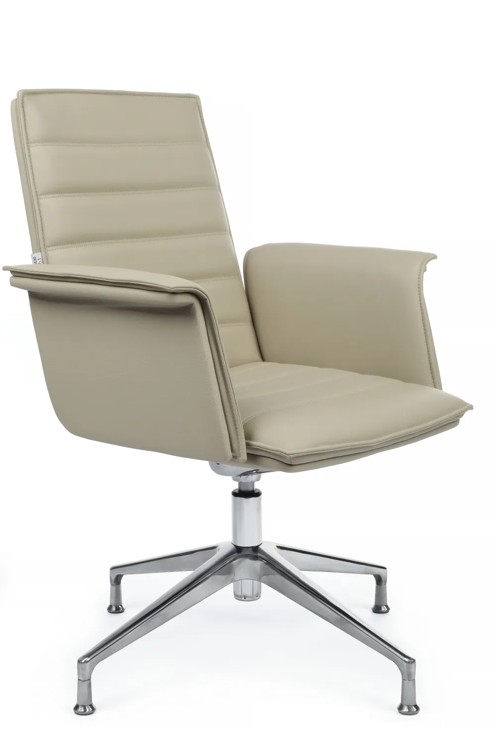 Кресло RV DESIGN Rubens-ST (C1819-2) кожа светло-серый