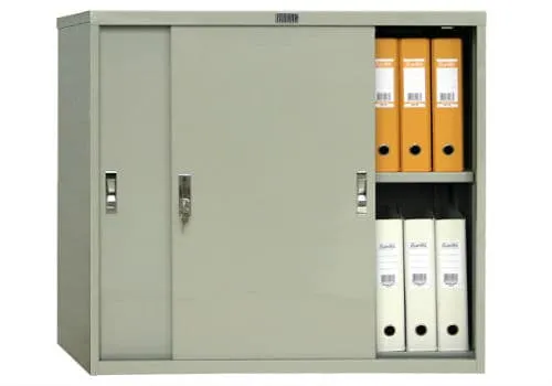 Шкаф купе Практик AMT 0891