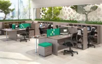 Изображение xten
