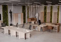 Изображение солид (solid)