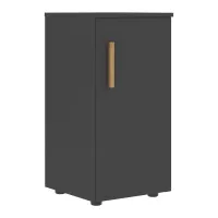 Шкаф колонка с глухой малой дверью FLC 40.1 (графит) Forta