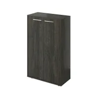 Шкаф низкий закрытый Канцлер КЦ38.12 дерево карбон