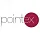 Pointex